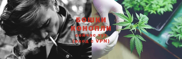 дурь Арсеньев