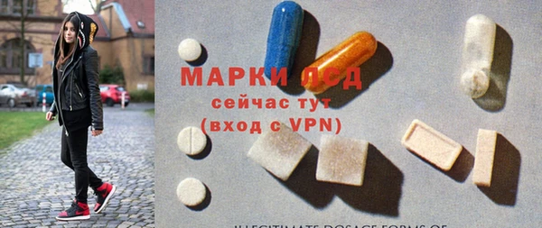 apvp Аркадак