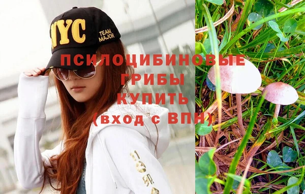 apvp Аркадак